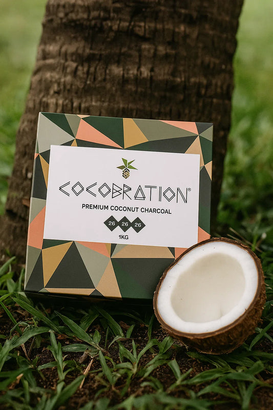 Migliori carboni naturali per narghilè 2025 (Guida completa)